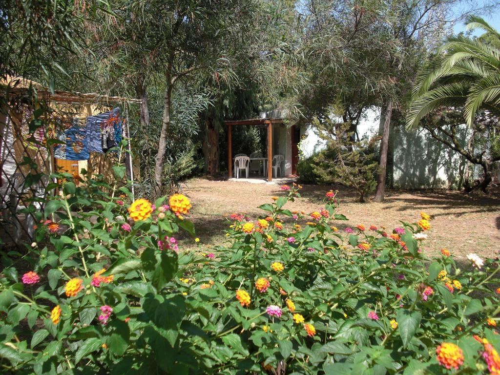 Cugnana Porto Rotondo Bungalows - Camping Zimmer foto